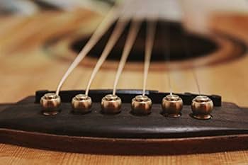 Amazon | 7本セット 真鍮ブリッジピン よく鳴る アコギ ギター